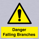danger-falling-branches~